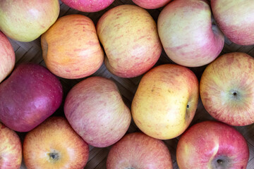 Fresh, ripe apples (Malus pumila) as a fruit background, representing a healthy diet concept.