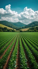 Rural landscape, vibrant green field, hills