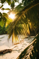 Fototapeta premium Tropical Beach Sunrise through Palm Leaves