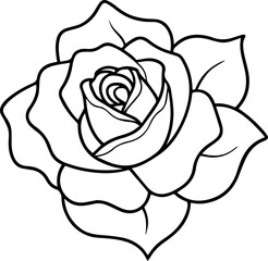 Rose outline vector illustration, line art