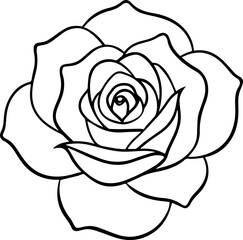 Rose outline vector illustration, line art
