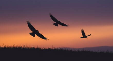 Fototapeta premium Silhouettes of birds in flight during sunset