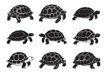 Tortoise Silhouette Vector Set