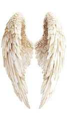 A beautiful pair of angel wings with delicate feather details. transparent background