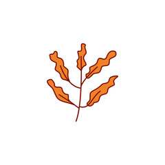 Obraz premium Summer flower leaf ornament design