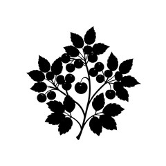 berry bush silhouette on white background   
