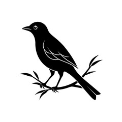 bird perched on a branch silhouette on white 