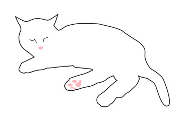 横たわる白い猫