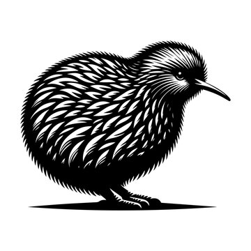 recommend clip art: kiwi bird silhouette vector file.