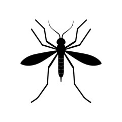 mosquito silhouette on white background 