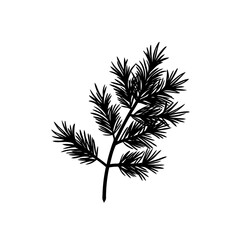 pine branch silhouette on white background  .svg