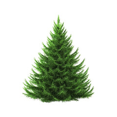 Fototapeta premium A vibrant Christmas tree standing tall and proud