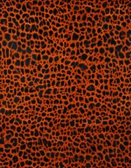 Obraz premium Fiery orange & black leopard print seamless texture, bold, wild