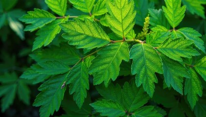 Nature's repeating leaf formations, intricate details, image, natural