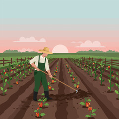 Farmer Working in Vegetable Field at Sunset with Warm Light