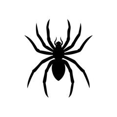 spider silhouette on white background  .svg