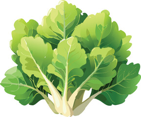 Orach isolated on a transparent or white background, vector illustration