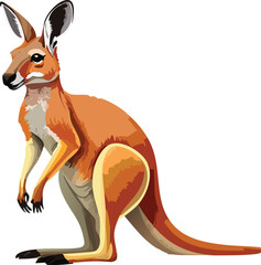 Kangaroo isolated on a transparent or white background, vector illustration