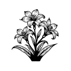 Elegant floral arrangement: A botanical sketch of blooming lilies in monochrome