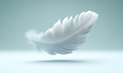 Naklejka premium White Feather on Light Blue Background