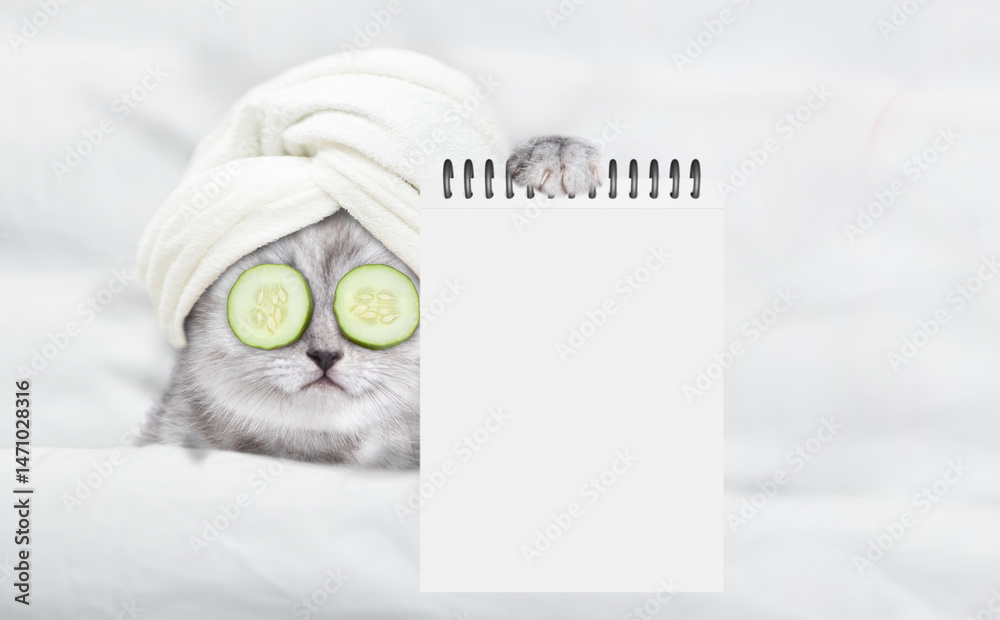 Aufkleber Cute kitten with towel on his head and with a pieces of cucumber on his eyes relaxing on the bed at spa salon and showing blank notepad. Top down view. Empty space for text