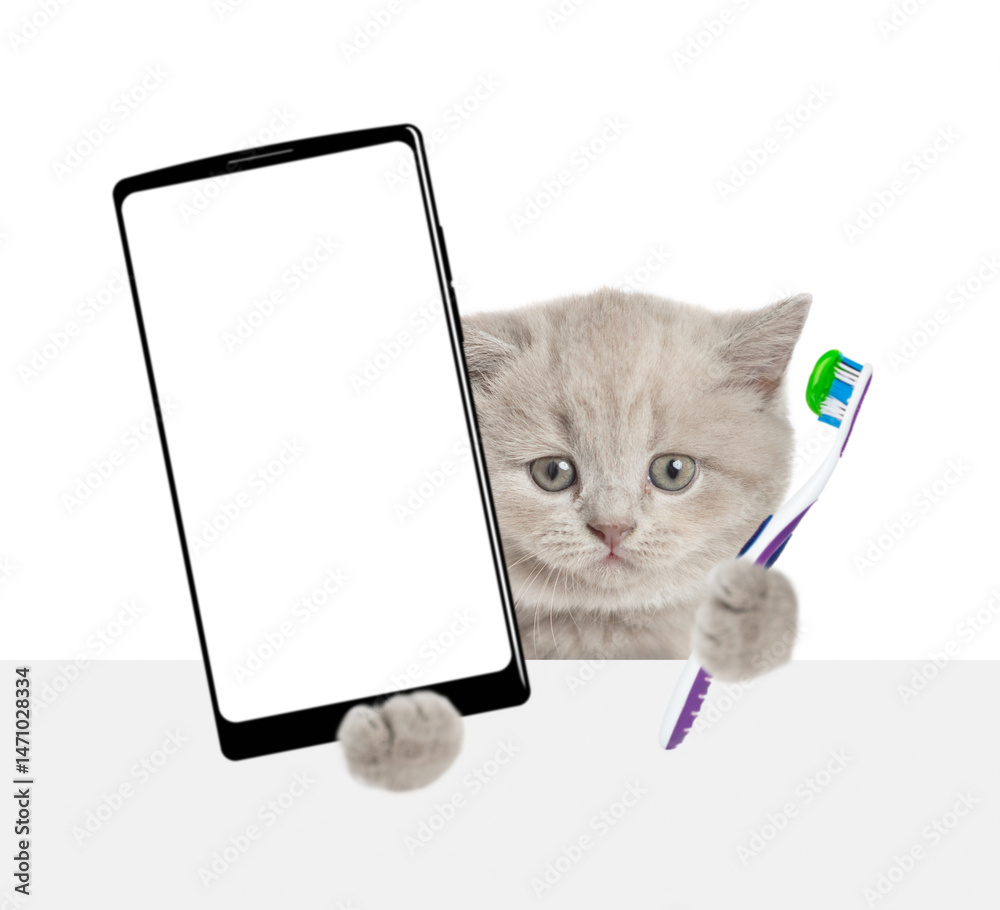 Poster cute tiny kitten holds toothbrush and big smartphone with white blank screen in it paw above blank w
