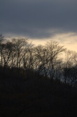 Obraz premium Venezuela is a country full of mountains, our geography shows us mountains of various colors full of vegetation.