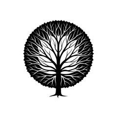 tree cross section silhouette on white background 