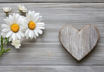 Obraz premium Delicate white daisies and a wooden heart on a gray wooden surface