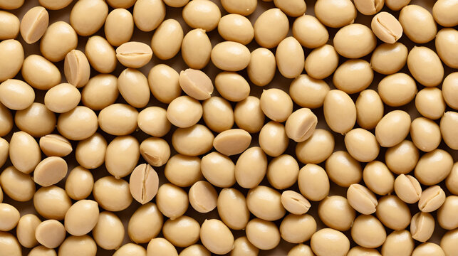 Textured  soja soybeans. Healthy and nutritious soy meat, pieces isolated.Vegan food concept 6