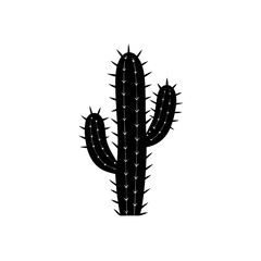 wild cactus silhouette on white background