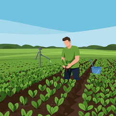Farmer Harvesting Greens in Field with Irrigation System on Sunny Day