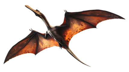 A pteranodon with a transparent background.