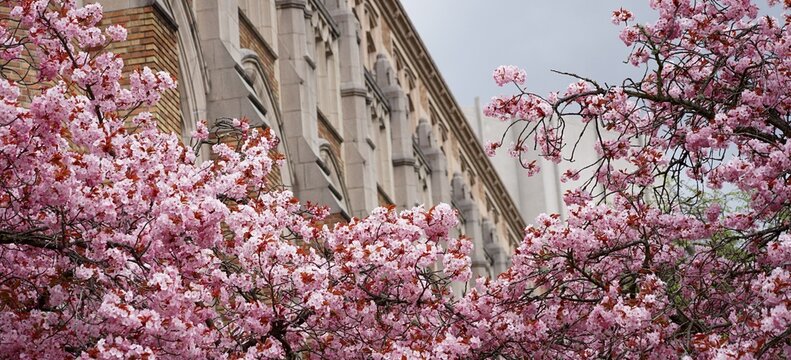 Spring in UW