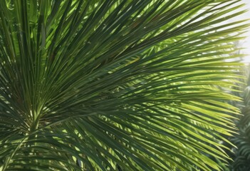 Obraz premium Vibrant green palm leaf, sharp focus, sunlit texture , sunlight, leaf background