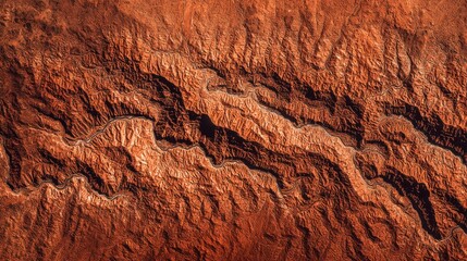 Fototapeta premium Abstract Aerial View of Richly Textured Earth Surface with Natural Brown and Red Patterns