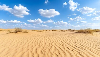A vast expanse of golden sand dunes stretches under a clear blue sky dotted with fluffy white clouds