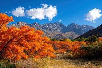 Fototapeta premium Autumn mountains and trees