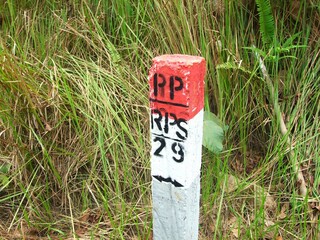 The boundary of the forest area borrowing permit with code RPS