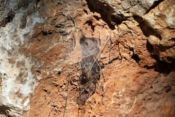 Texture and structure of stone blocks and rocks.