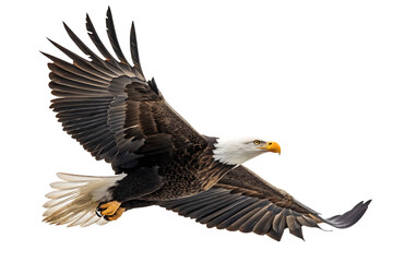 Majestic bald eagle in flight isolated on a white background png