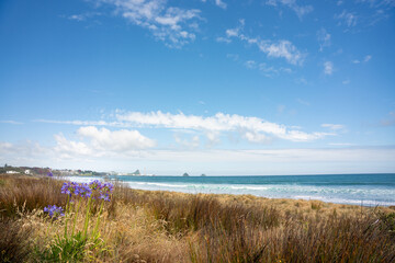 New Plymouth