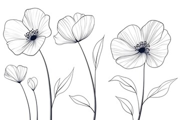 Naklejka premium Minimalist Floral Outlines Abstract Line Art Flowers, Botanical Line Drawing on White