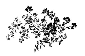 Naklejka premium Elegant Floral Arrangement Black Ink Drawing of Blossoms and Vines on White Backdrop