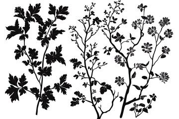 Naklejka premium Floral Branch Silhouette Set, Intricate Blossom Twigs, Botanical Monochrome Elegance 89