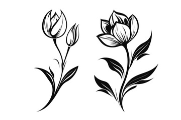 Elegant Floral Design, Two Black Flowers with Petals, Stems and Leaves, on White