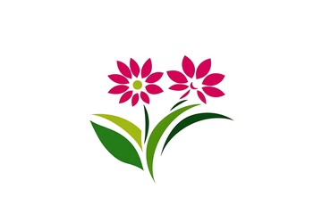 Two Pink Blossom Flowers with Green Leaves Silhouette on White Background Icon Style