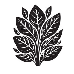 Spinach Leaves Silhouette Vector Set

Black and White Spinach Leaf Icons

Organic Spinach Vector Illustration