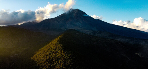 High-altitude forests of Pinus hartwegii, a pine species that only grows above 3,000 meters. Unique...