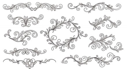 Fototapeta premium Floral design elements collection